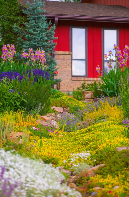garden in a box 3.jpg