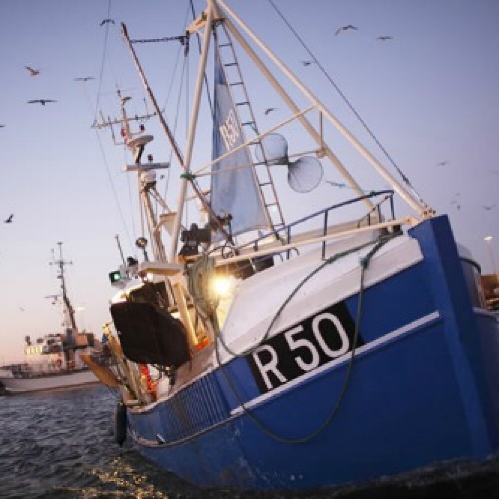 boat-closeup-web.jpg