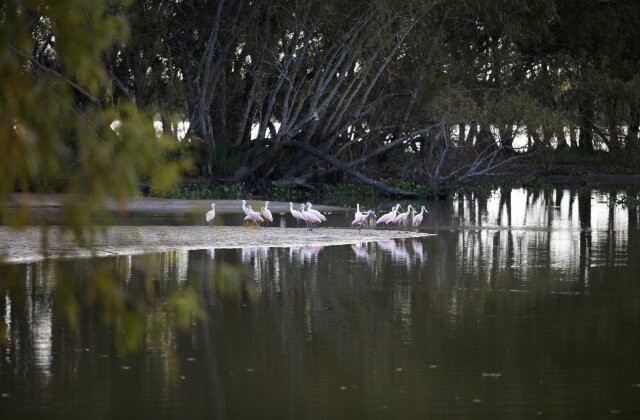 coastal bayou.jpg