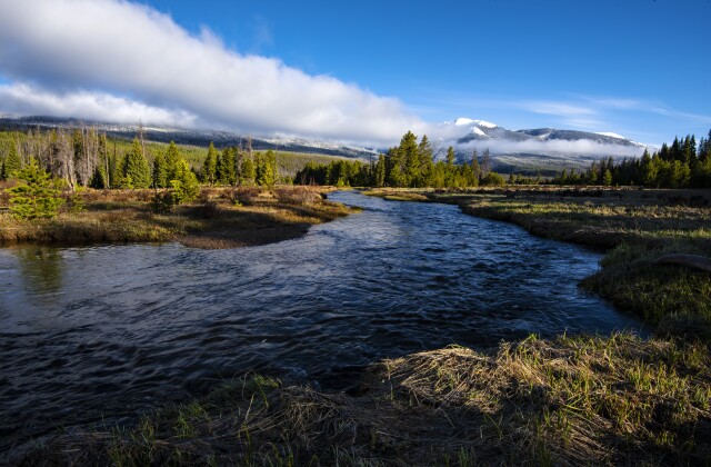 A river runs through a meadow in the Colorado River watershed. 
