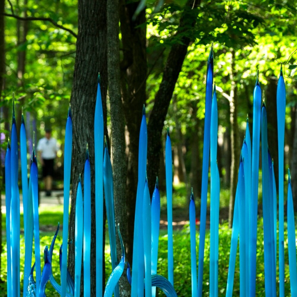 chihuly-hero.jpg