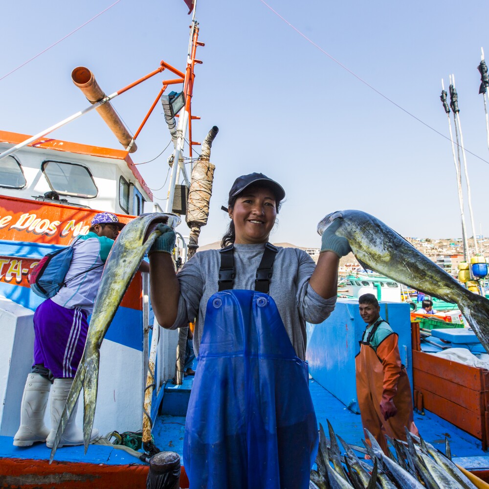 A Peruvian fisher holds up her catch of two mahi-mahi.