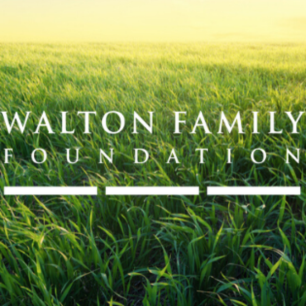 Press Release promo field of grass