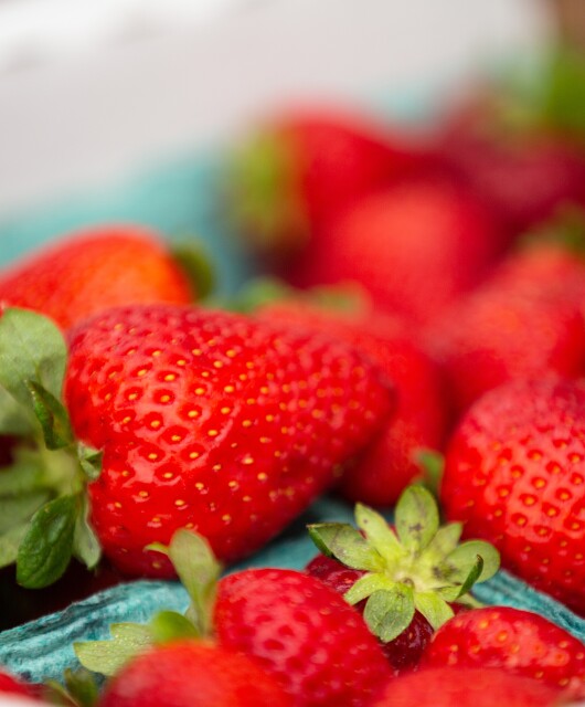 Northwest Arkansas Food Conservancy. Food. Strawberries