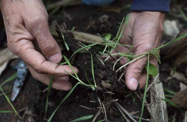 Tim Smith Roots of Conservation hands soil