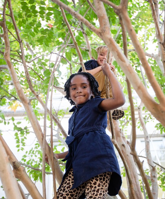 seeds of opportunity child in tree