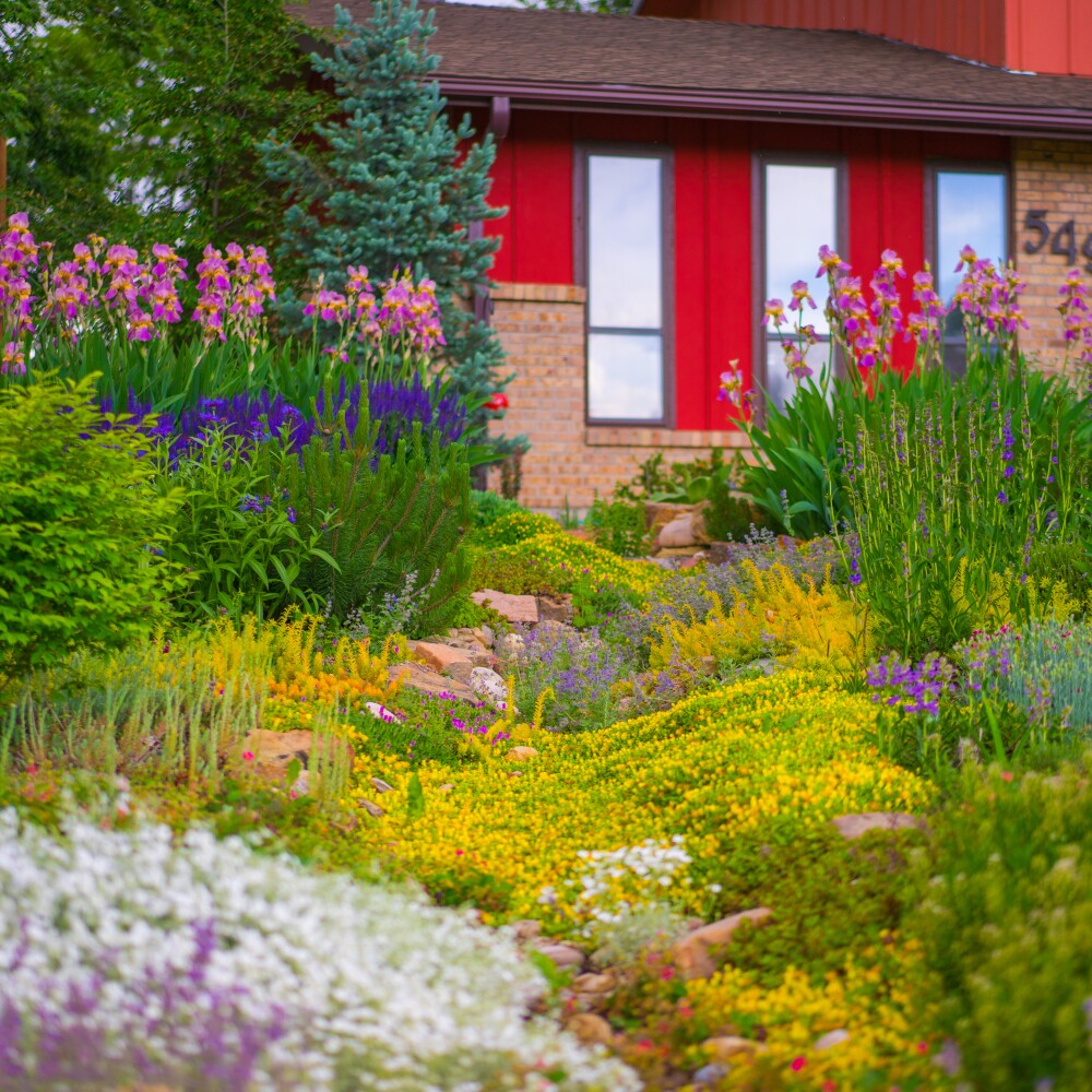 garden in a box 3.jpg