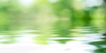 Defocused background of green tree and lake water
