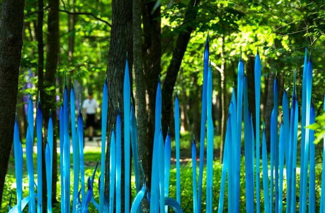 chihuly-hero.jpg