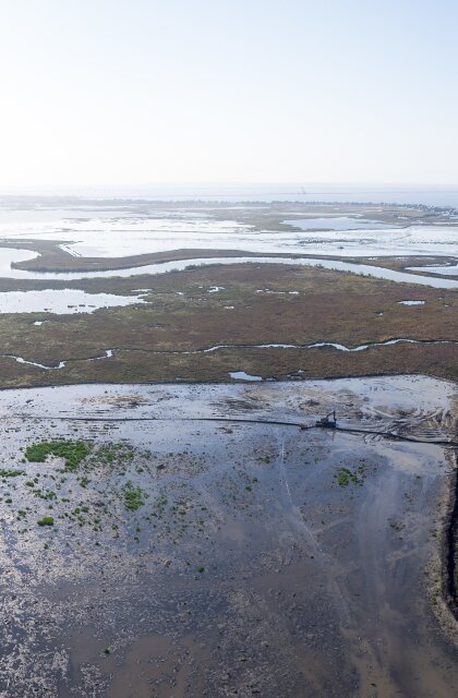 Coastal Restoration. Louisiana. Bayou Bonfouca
