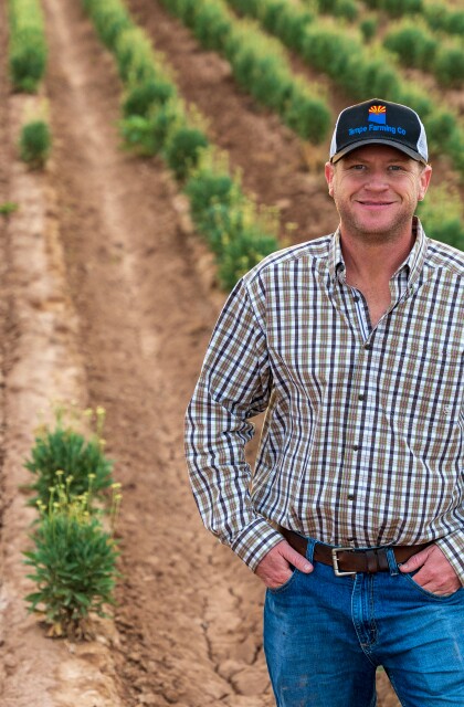 Farmer Will Thelander stands in a field with rows of guayule plants.