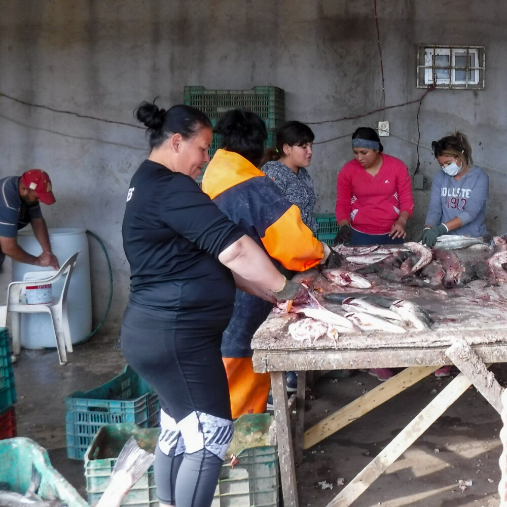 Women in Mexican fisheries 1
