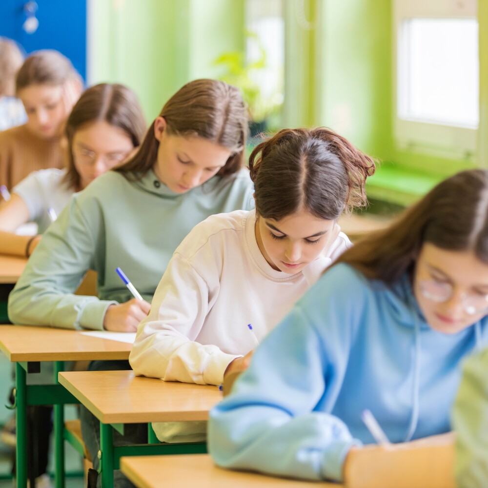 Students at Desks stock