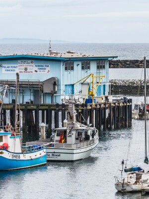 Dungeness Crab fishing community