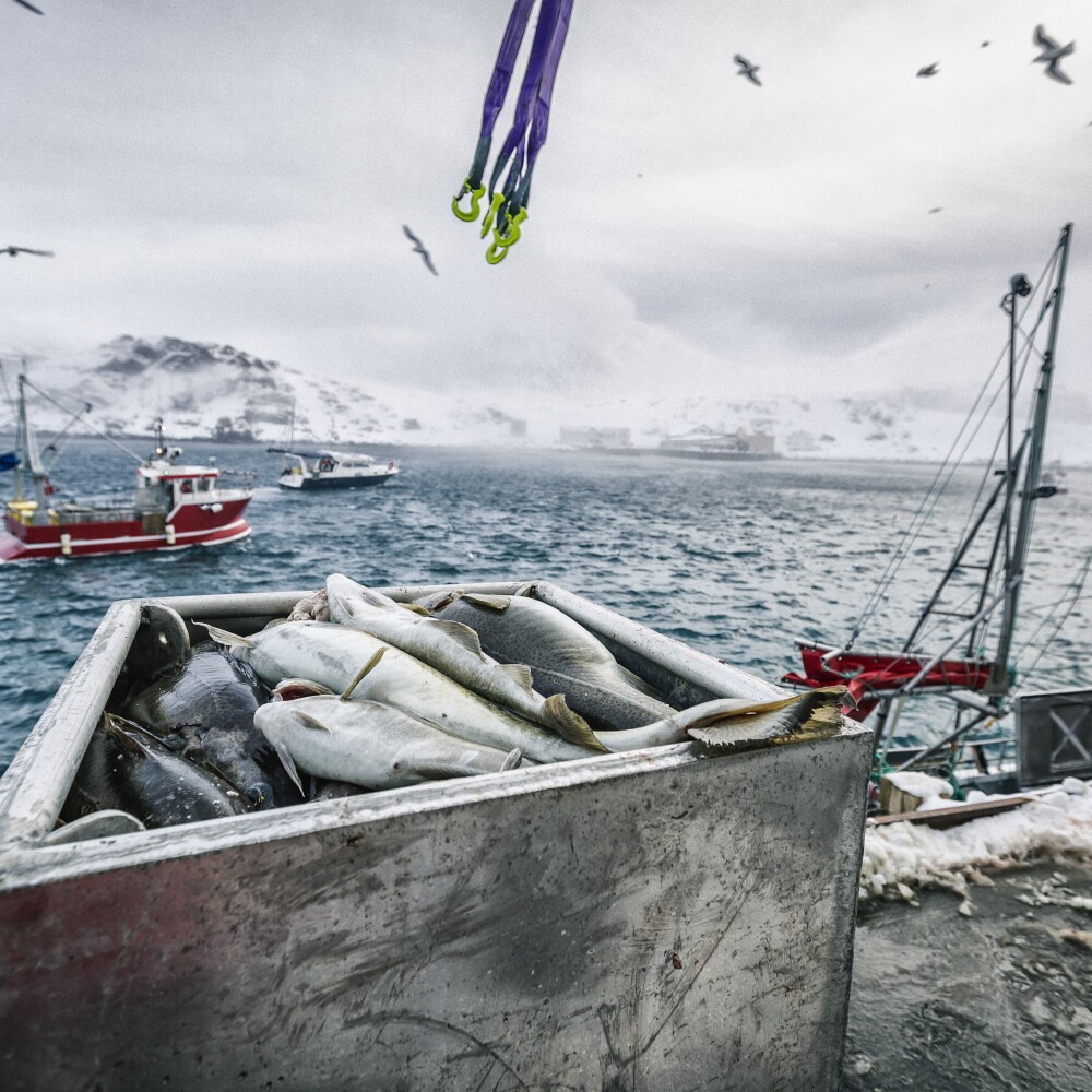Fishing on Open Seas