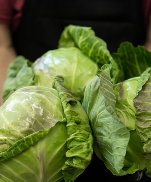 NWA Food Conservancy. Cabbage
