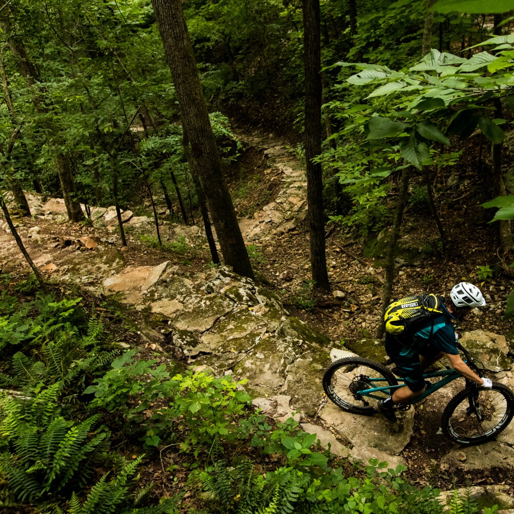 Coler mountain bike preserve header option 4.jpg