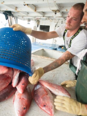 red-snapper-web.jpg