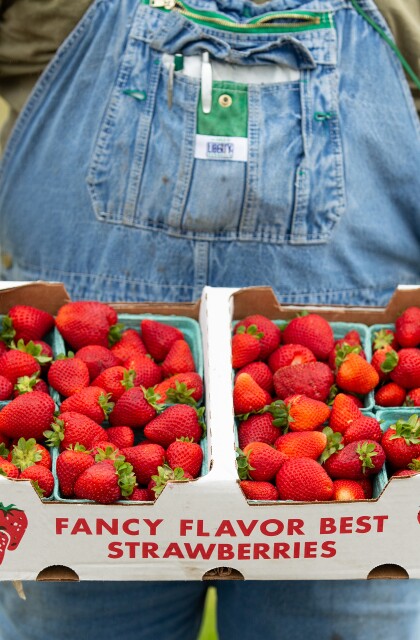 NWA Food Conservancy. Dennis McGarrah holding boxes of strawberries