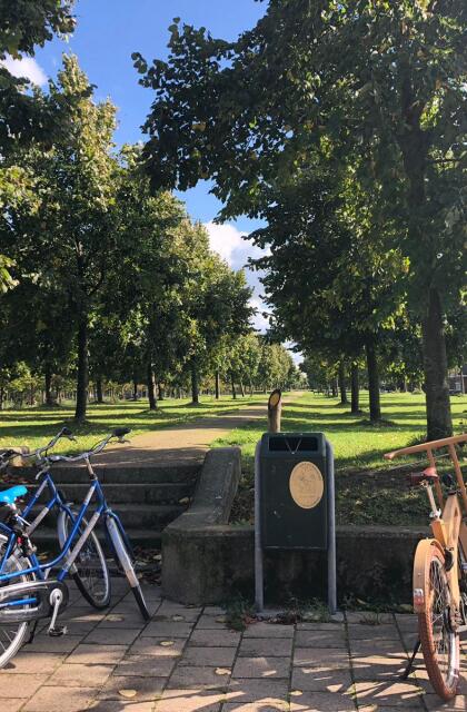 Netherlands NWA Cycling 2