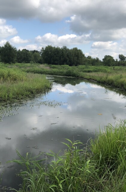 Reconstructed Dark Corner creek in July 2018