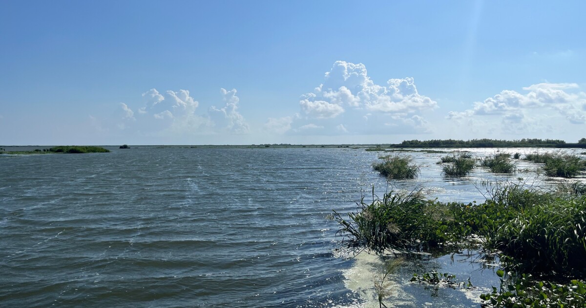 From Wyoming to Louisiana, Restoration Projects Follow Nature’s Lead to Protect Land and Water From Wyoming to Louisiana, Restoration Projects Follow Nature’s Lead to Protect Land and Water