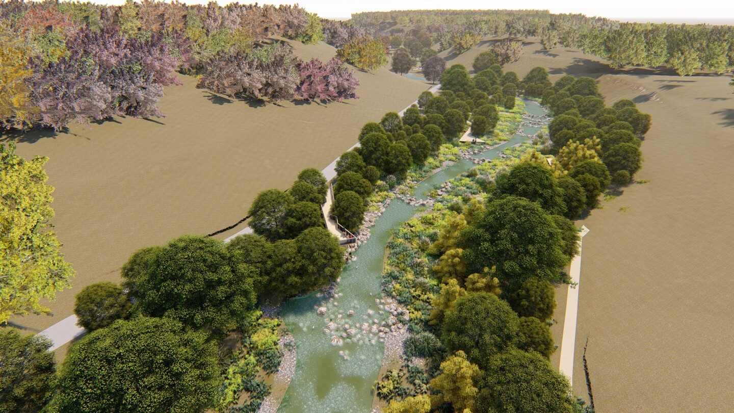 coler wetlands 1.jpg