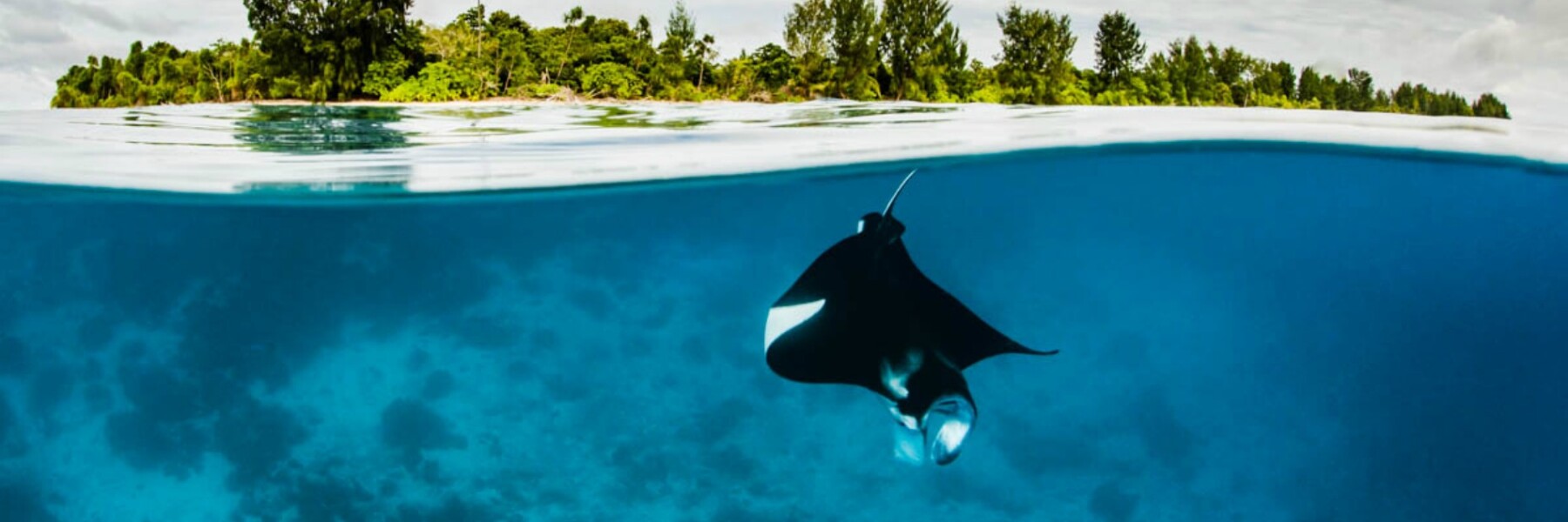 manta-with-sky-hero.jpg