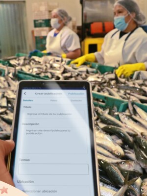 Pesca Data App 1
