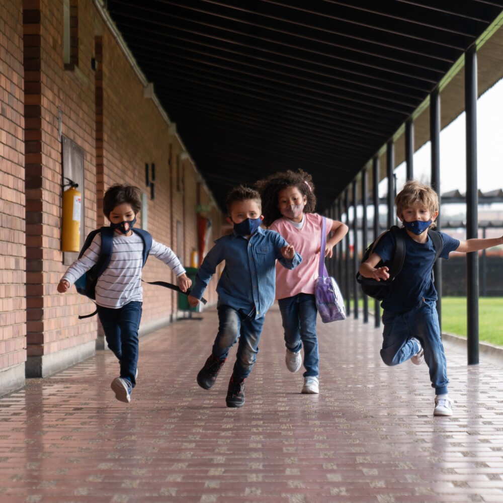 K12 Polling Project Header Stock photo