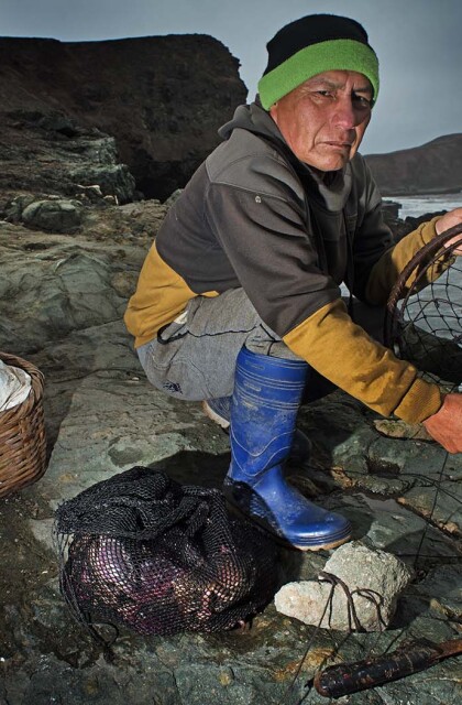 Peru Crab fishery