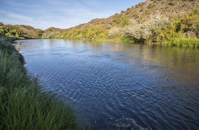 Rio Grande tranquility