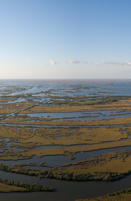 Gulf Coast aerial