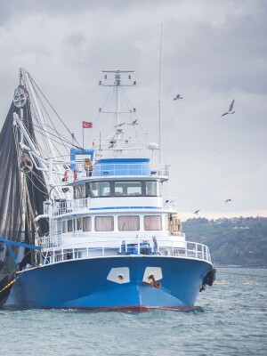 Environment_Boat_Fishing_Oceans