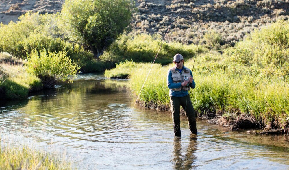 Scott Yates web hero.jpg