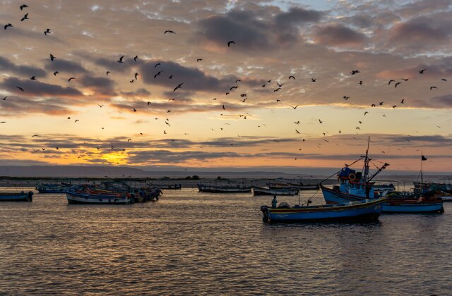 Peruvian Squid Fishing Sunset
