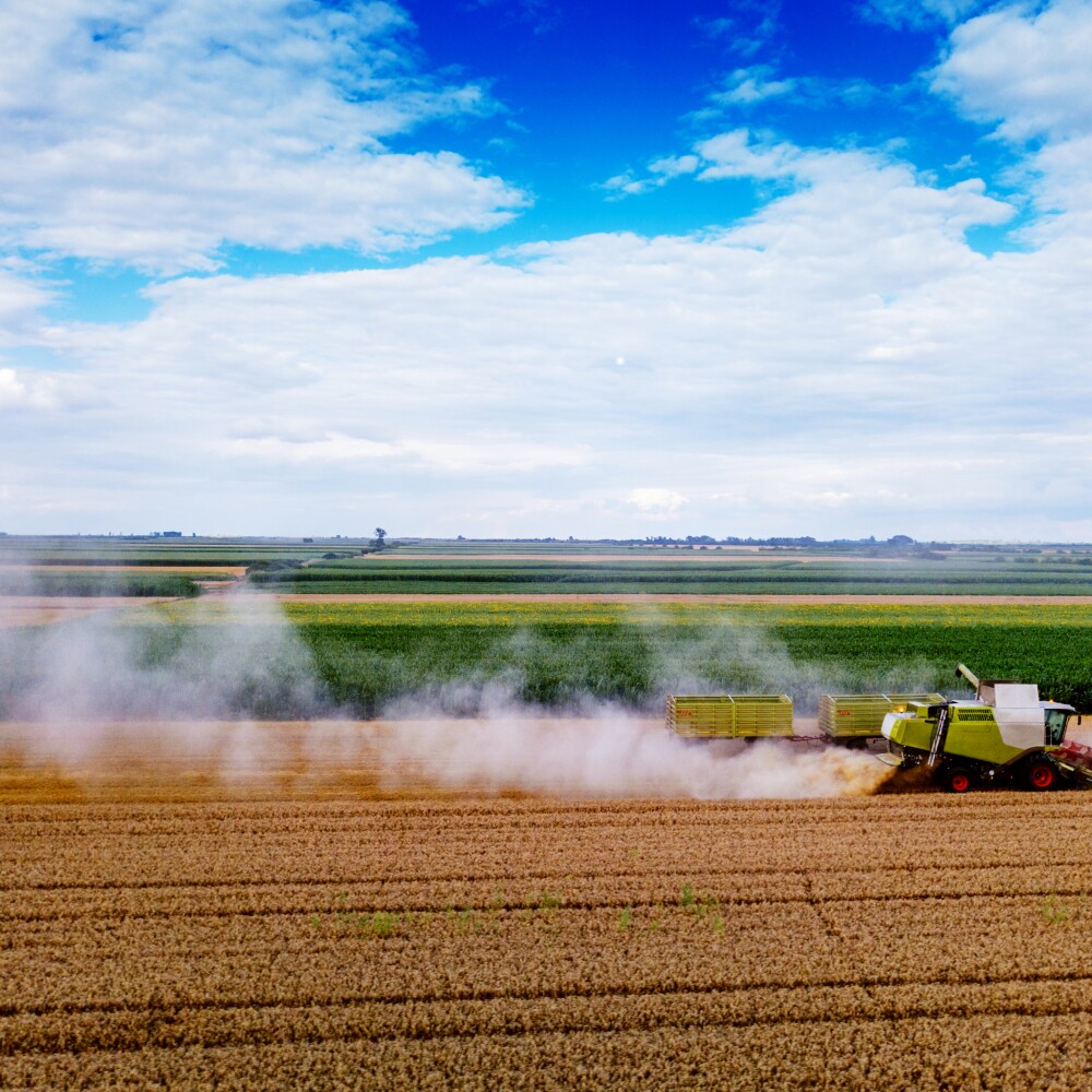 Heartland Crop