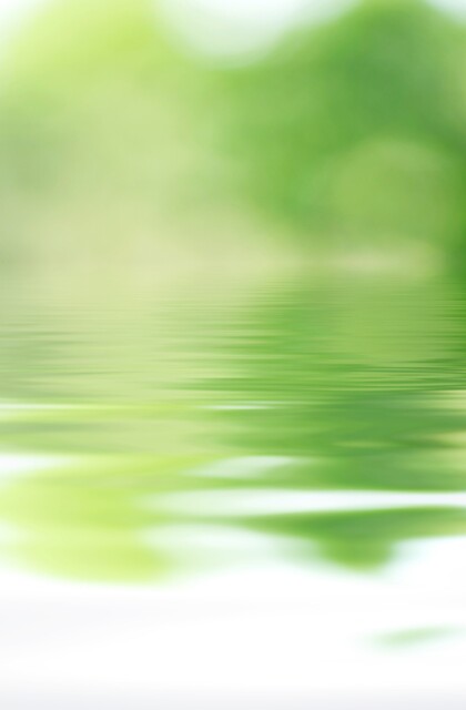 Defocused background of green tree and lake water