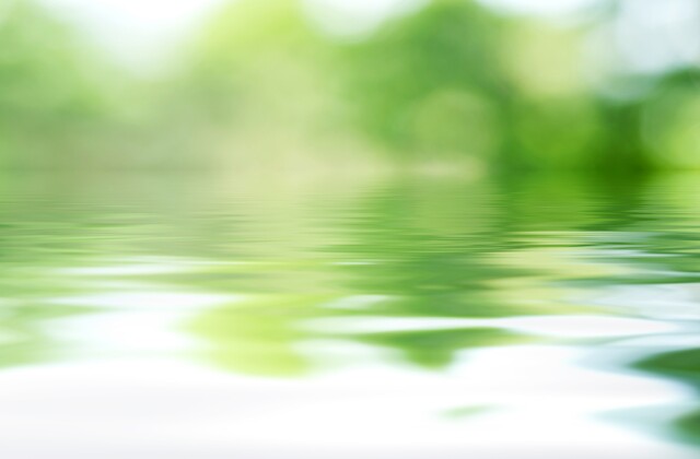 Defocused background of green tree and lake water