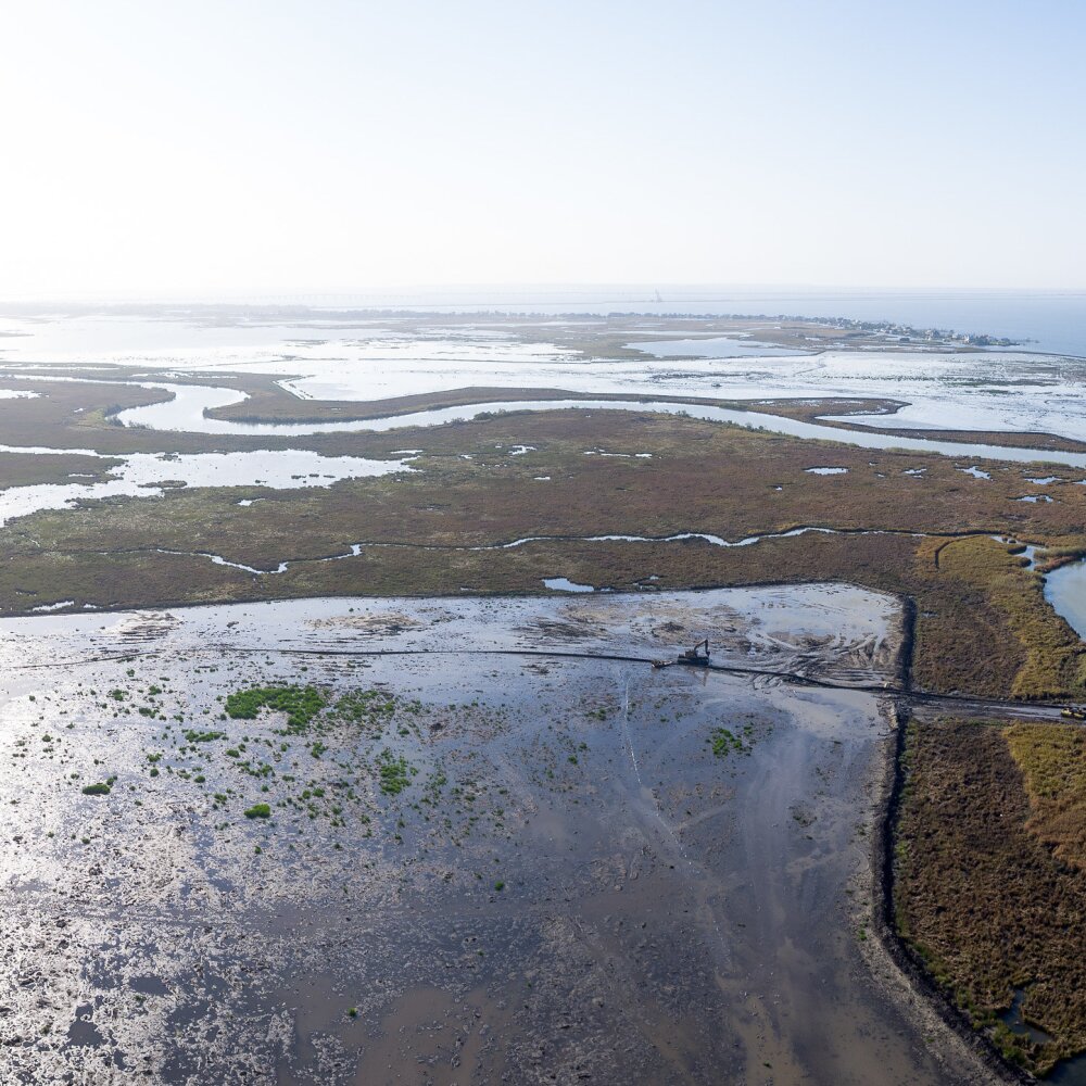 Coastal Restoration. Louisiana. Bayou Bonfouca