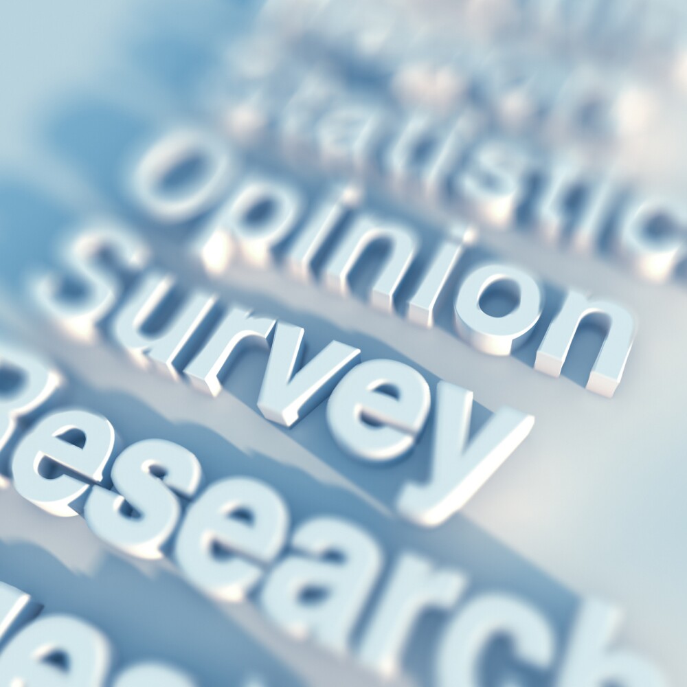 Opinion Research Image