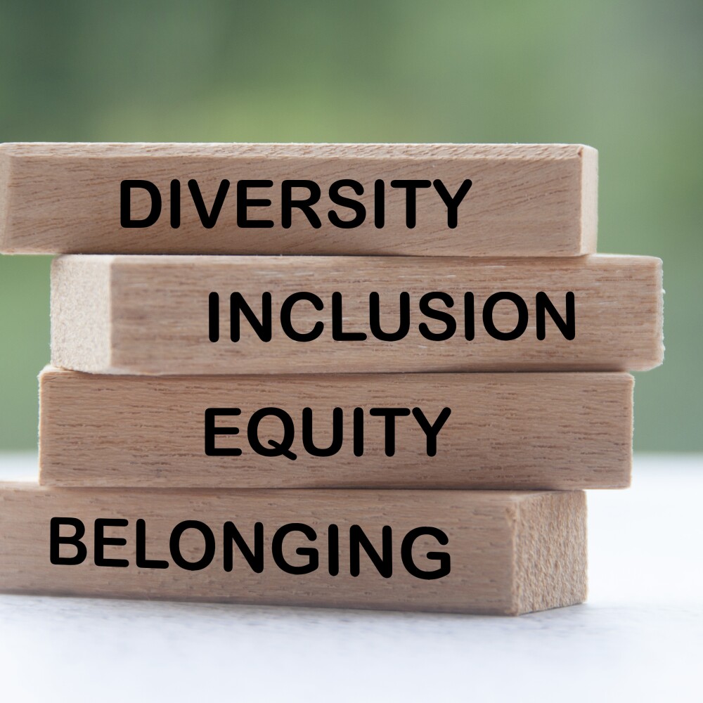 Diversity, Inclusion, Equity and Belonging Building Blocks