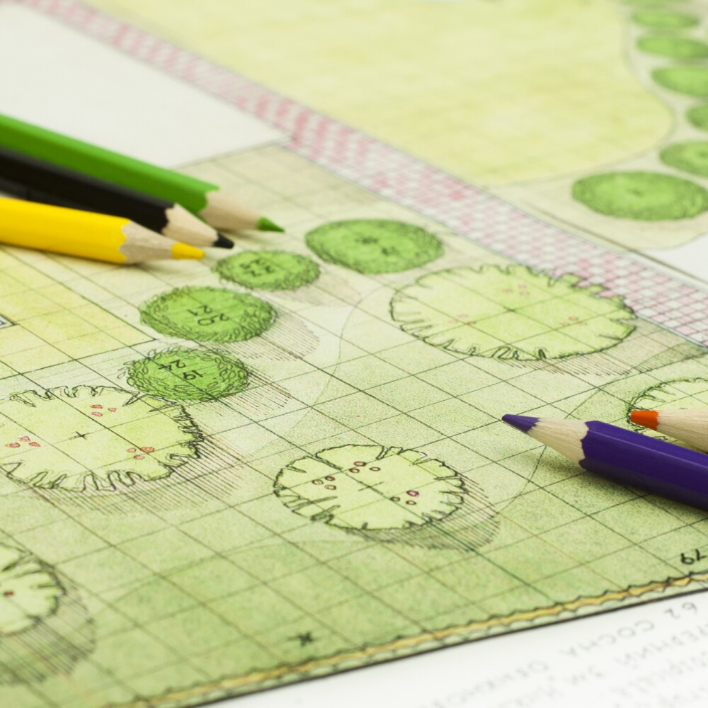 Design Excellence landscape architect plans