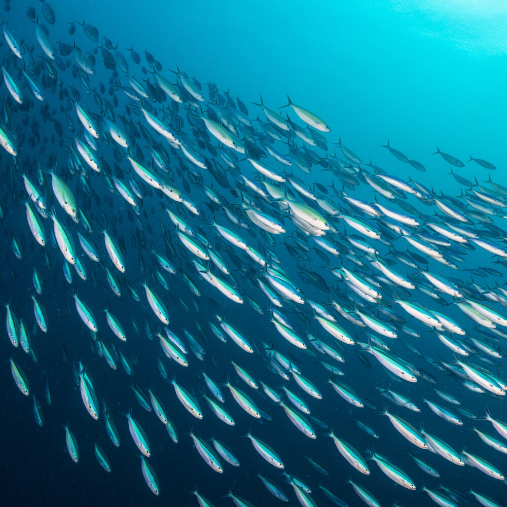 Oceans Photo. GlassPockets blog
