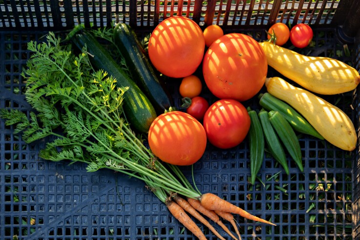 NWA Food Systems. FarmLink. Vegetables