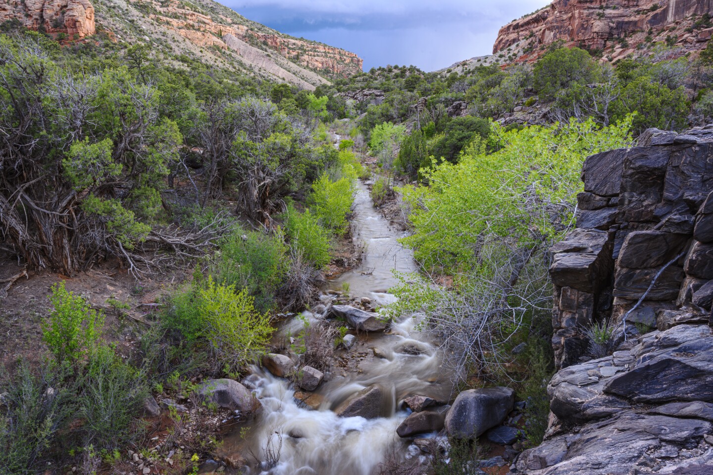 Big Dominguez canyon.