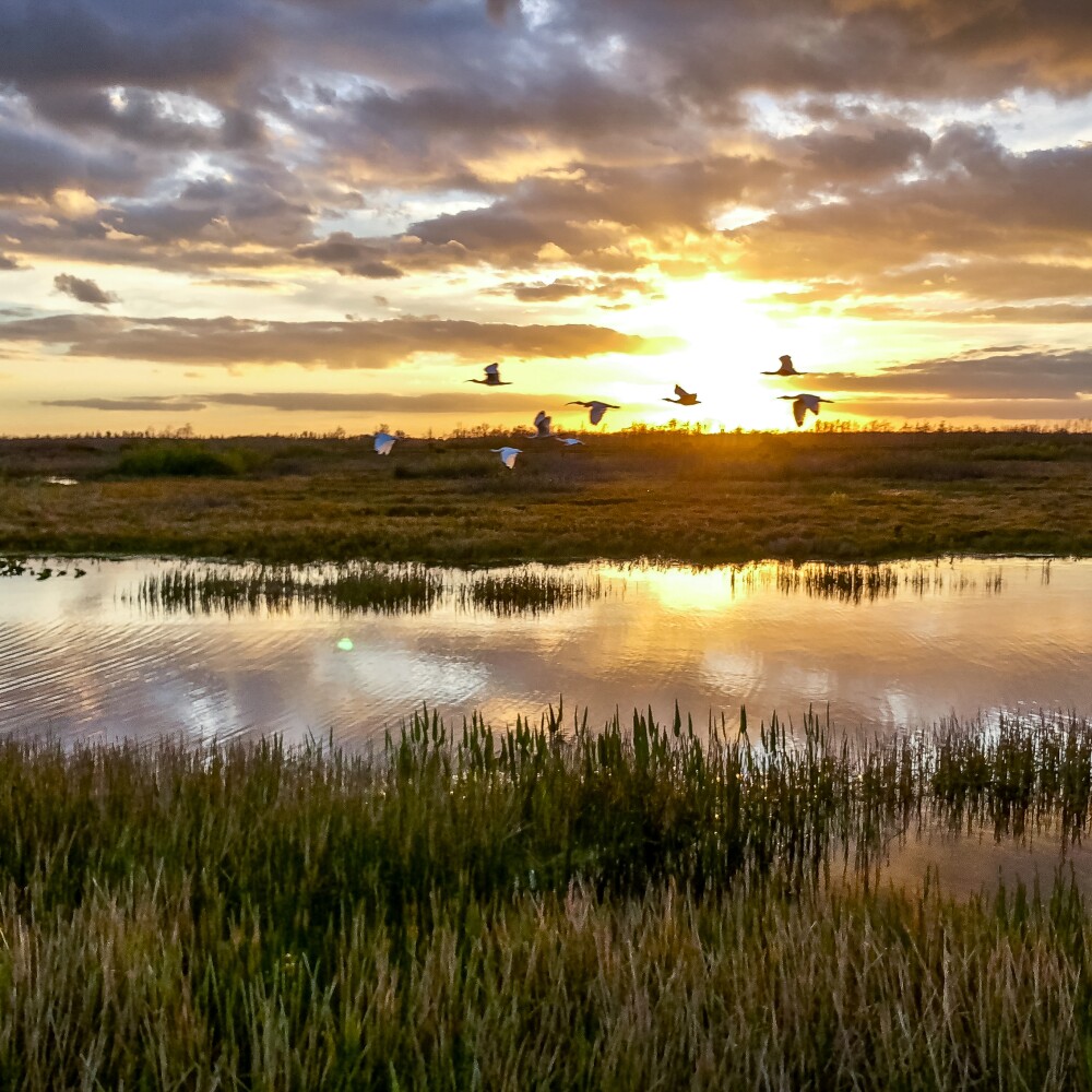 Climate Resilience stock image