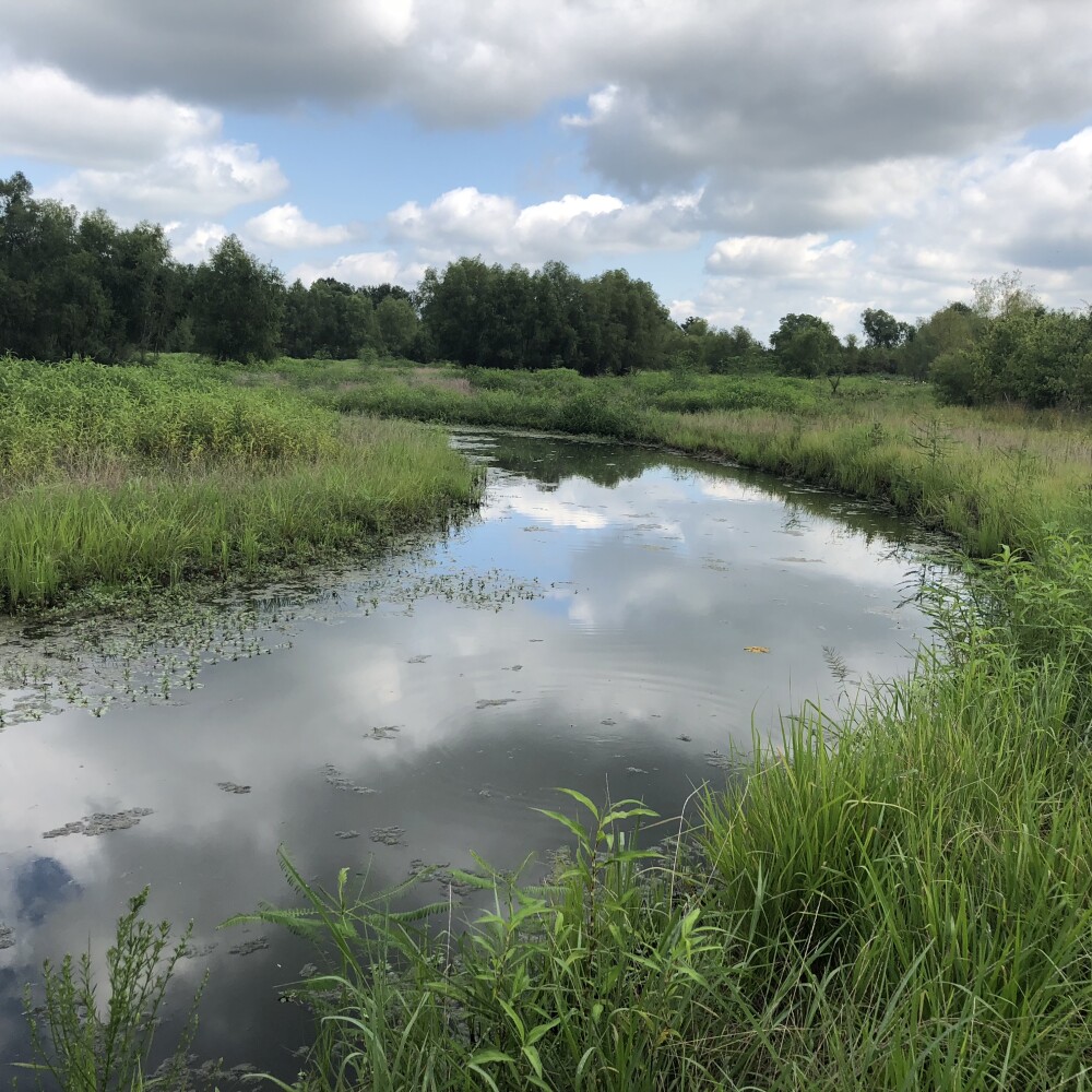 Reconstructed Dark Corner creek in July 2018