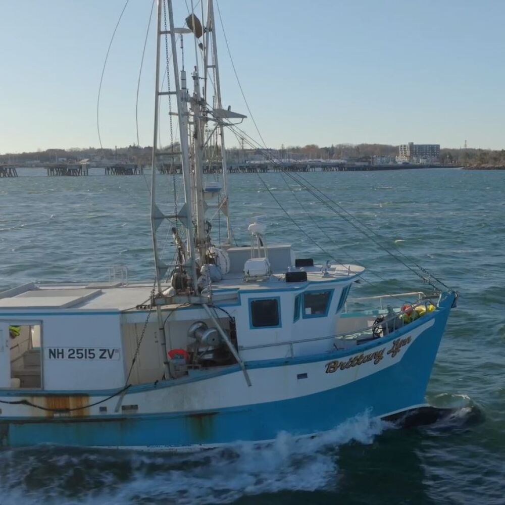 maine video 1.JPG