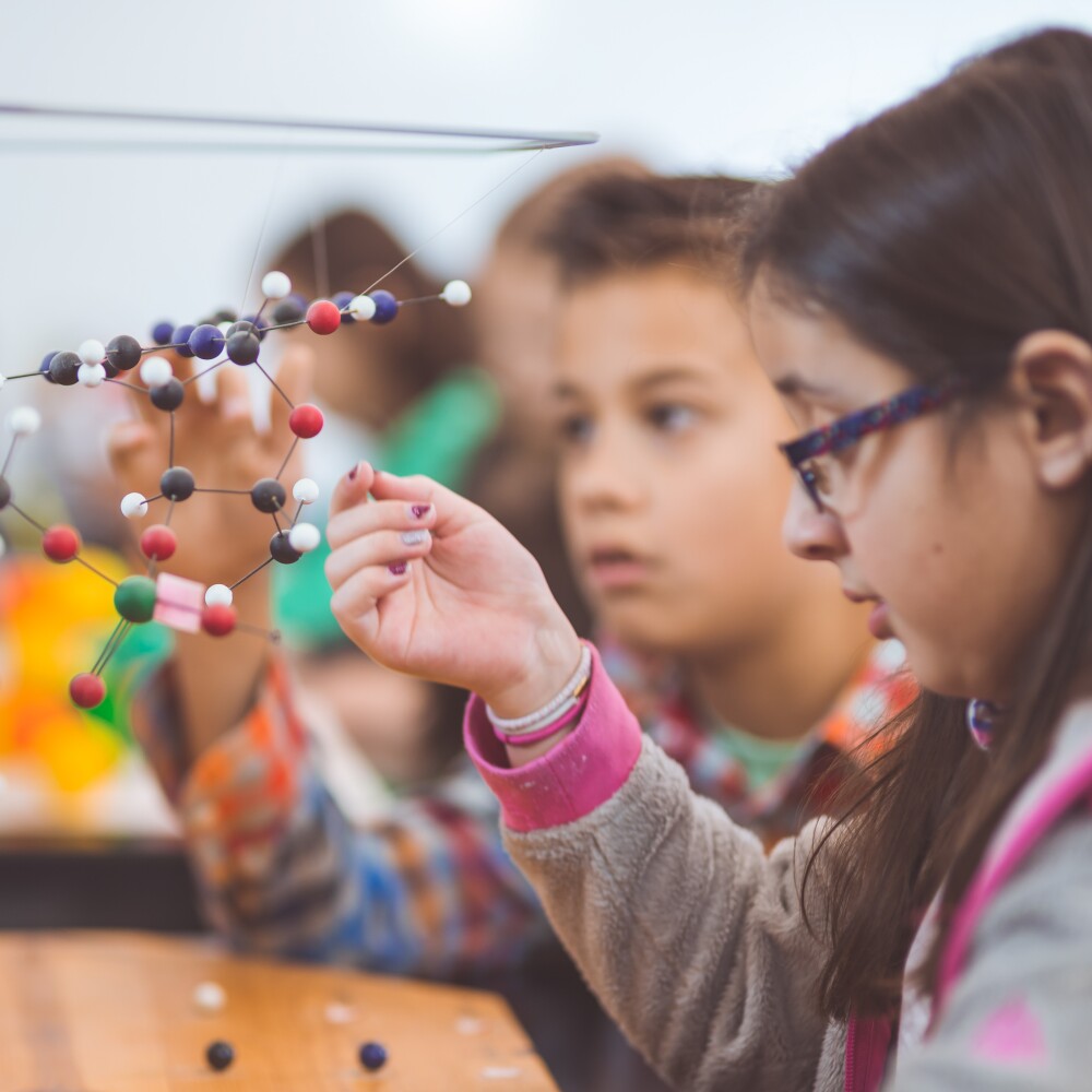 K12Education_Student_STEM